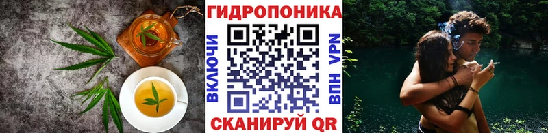 купить наркотик  Камышин  Еда ТГК марихуана 