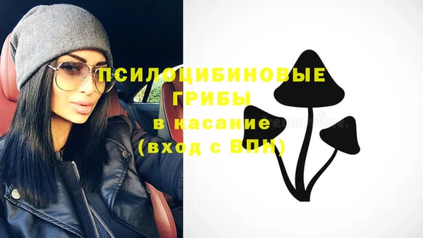 Альфа ПВП Лагань