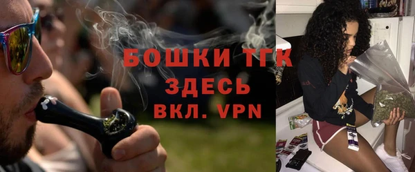Альфа ПВП Лагань