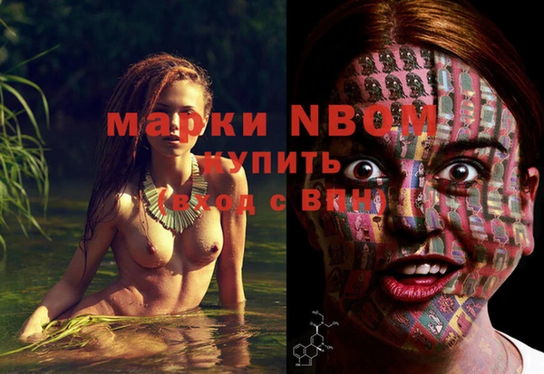 Альфа ПВП Лагань