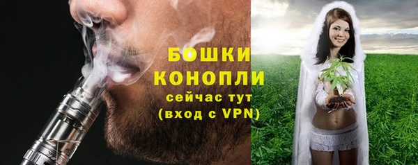Альфа ПВП Лагань
