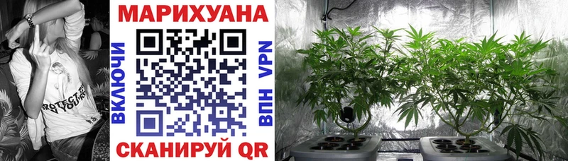 Бошки марихуана White Widow  Камышин 